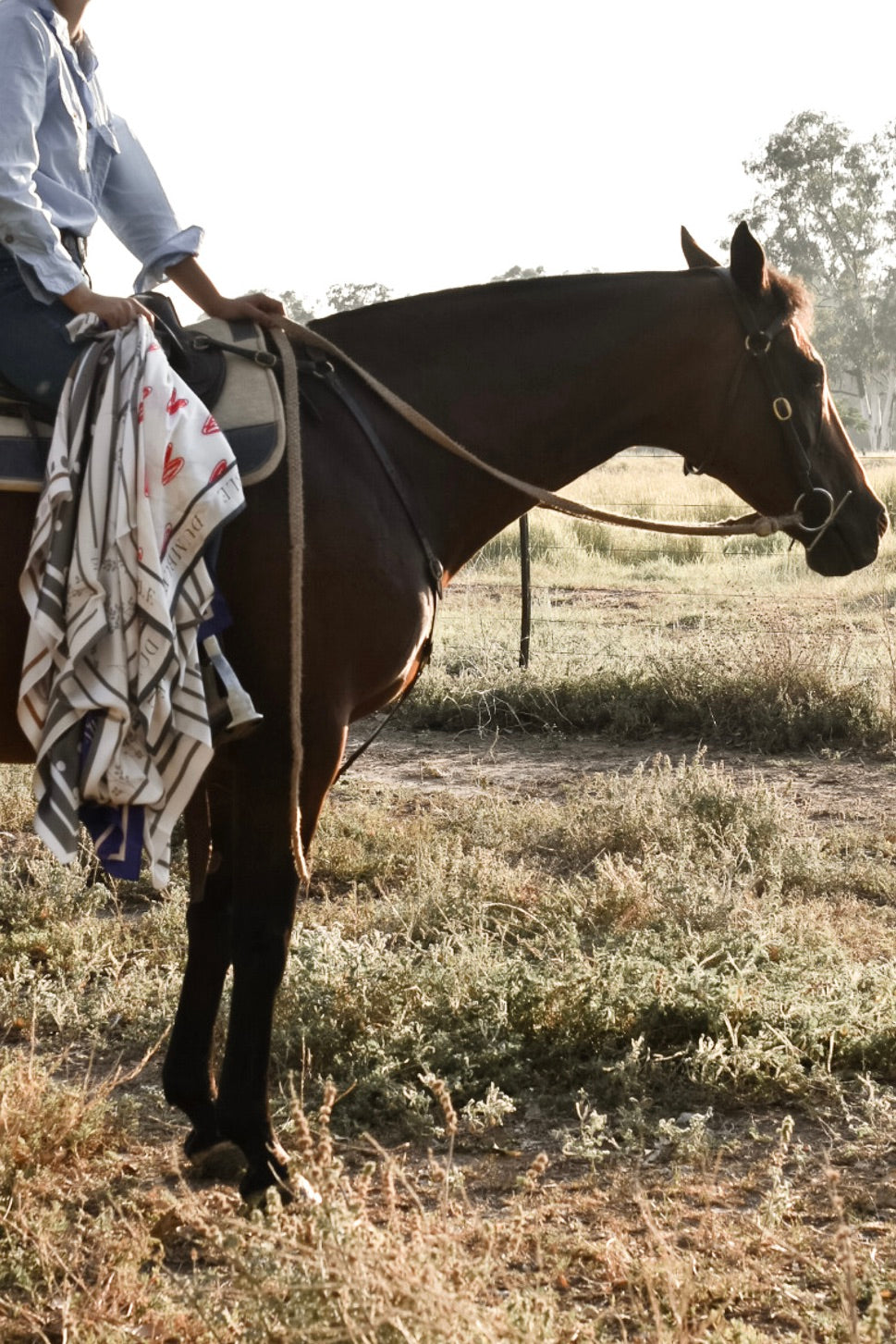 Rodeo Romance Spots