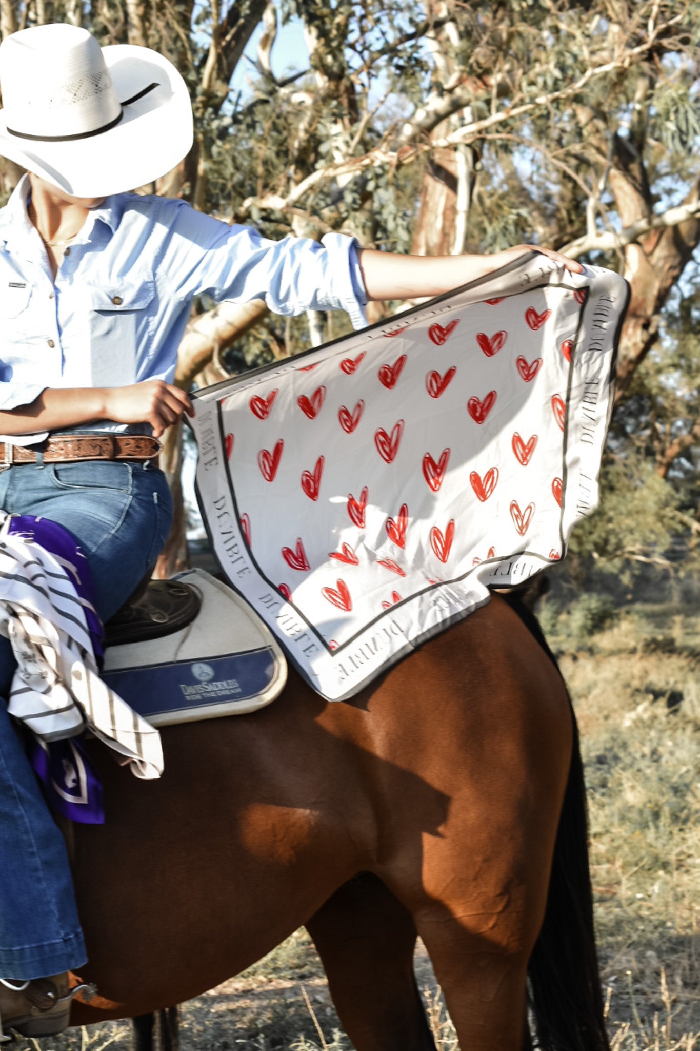 Rodeo Romance Hearts